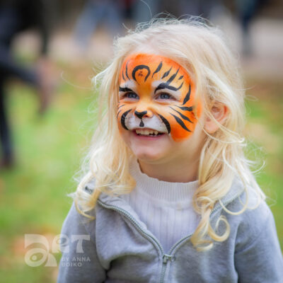 Tiger face painting by Anna Boiko